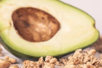 avocado-6102446_640