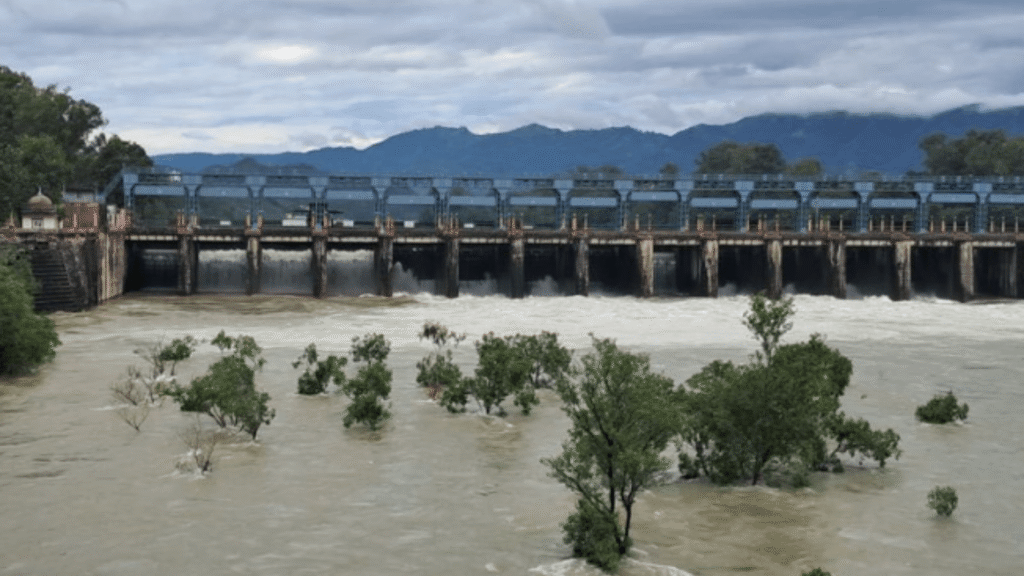 Flood Situation Worsens in Punjab After Heavy Water Discharge From Bhakra, Pong Dams