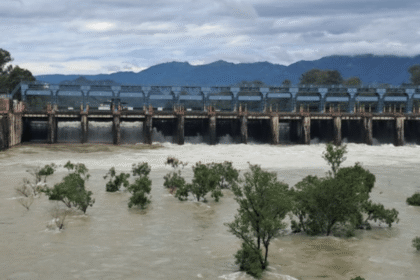 Flood Situation Worsens in Punjab After Heavy Water Discharge From Bhakra, Pong Dams